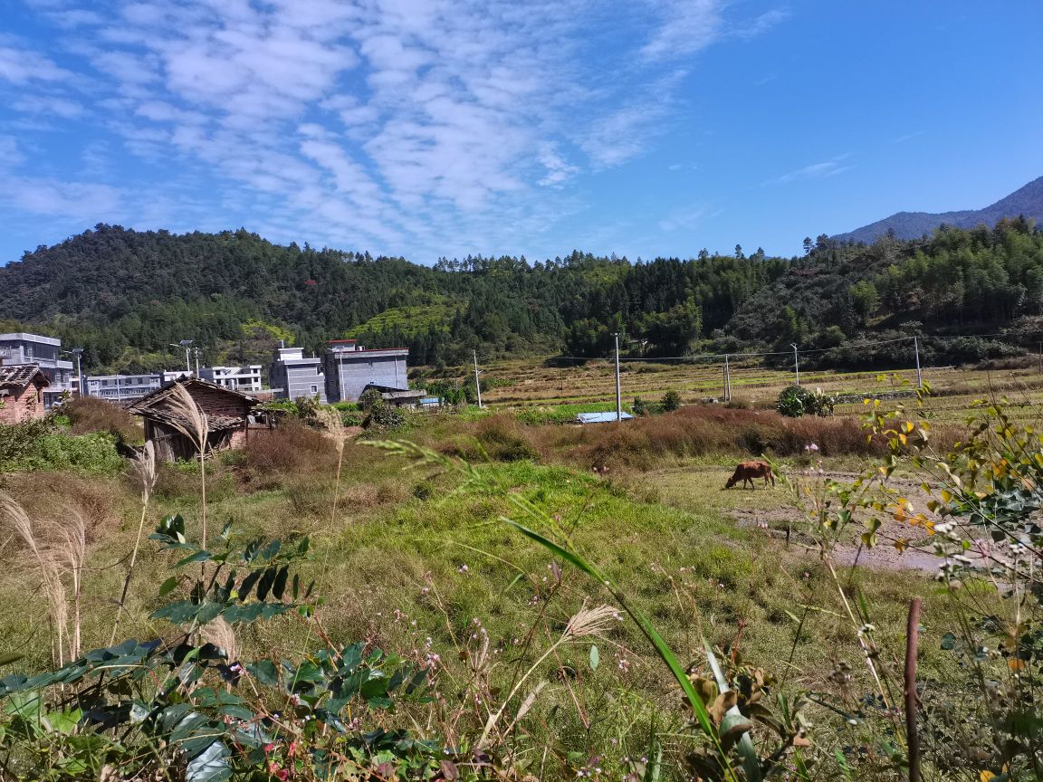 徐會村地名網_江西省贛州市寧都縣小布鎮徐會村資料簡介