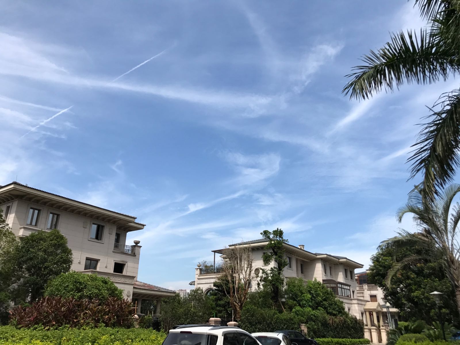 标签:住宅区房地产别墅蓠胜利雅苑共多少人浏览:4022545电话:评论数