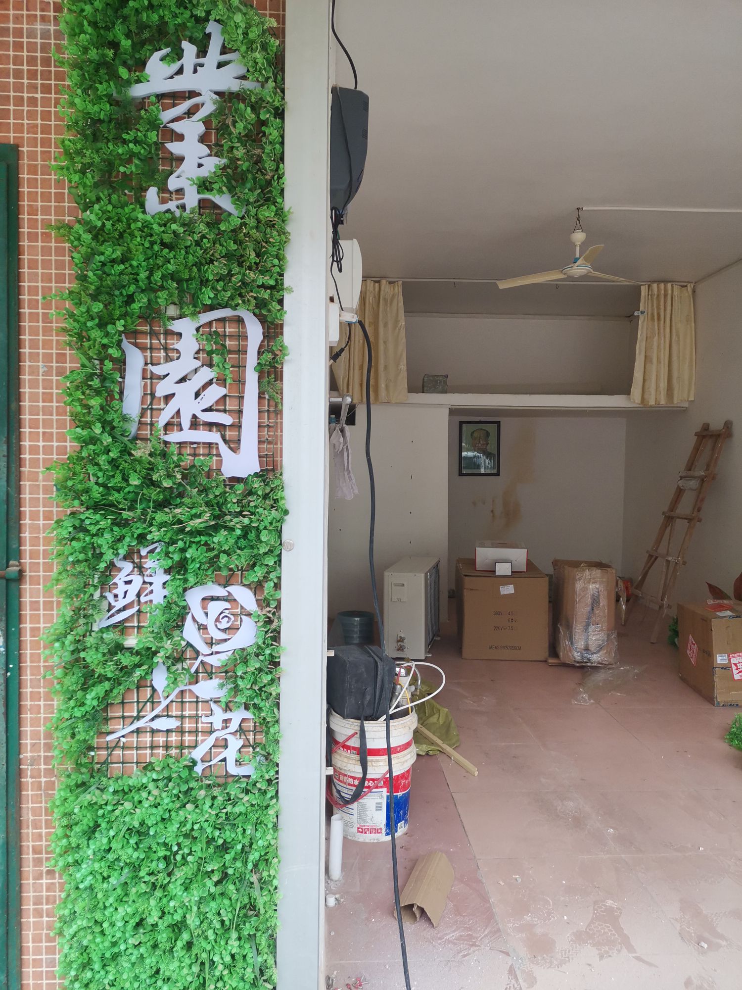 茂南区业园鲜花批发