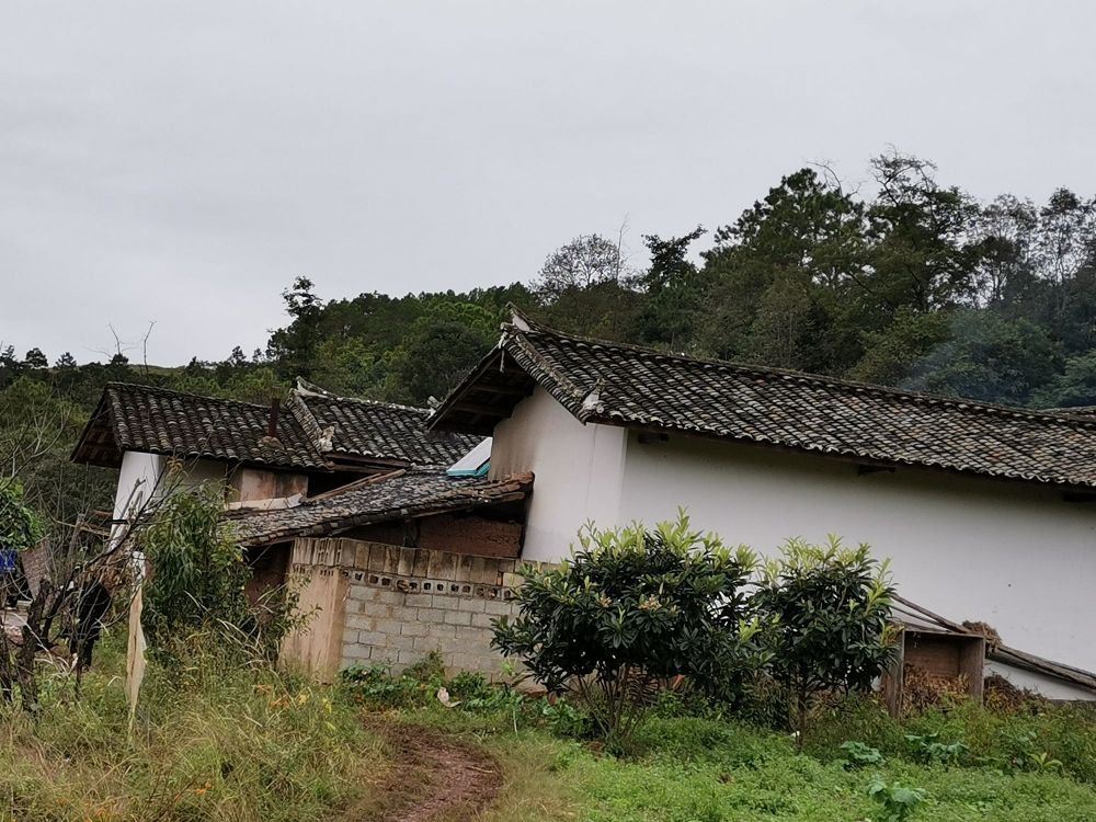 凉山彝族自治州会东县