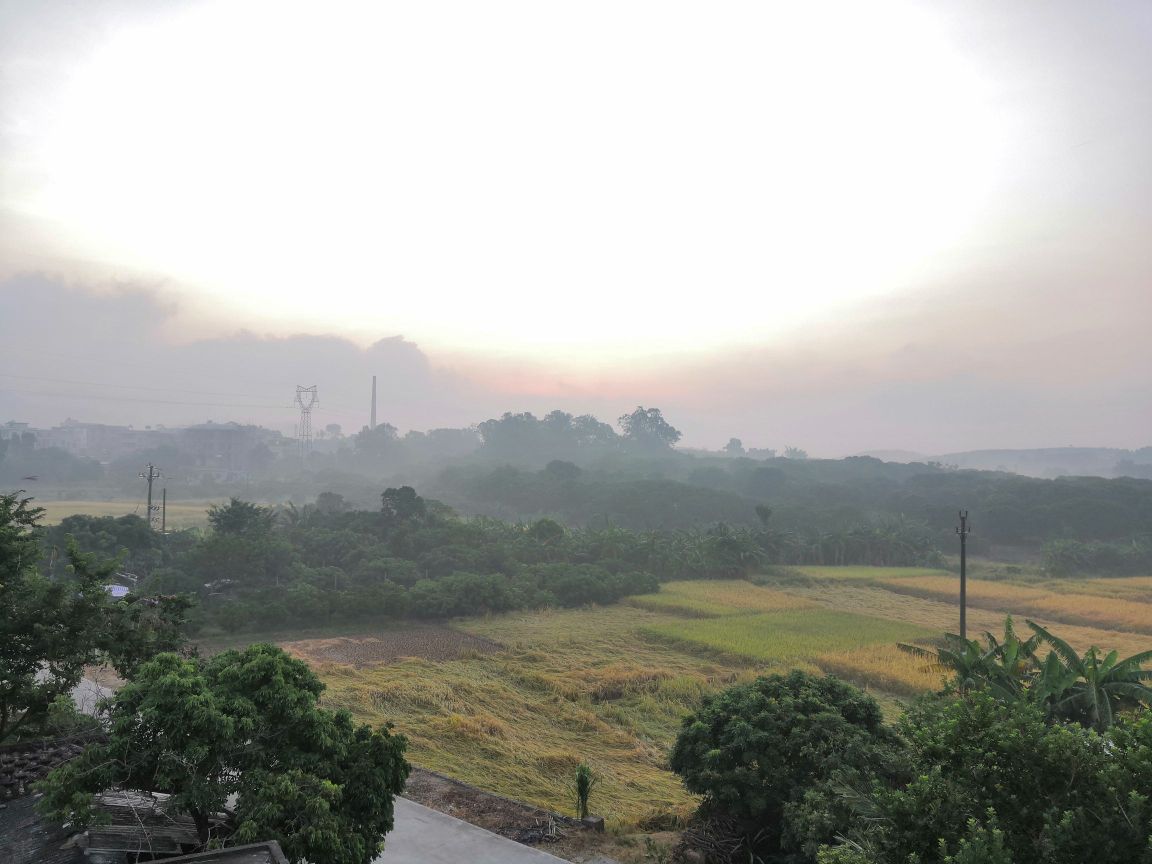 茂名市电白区