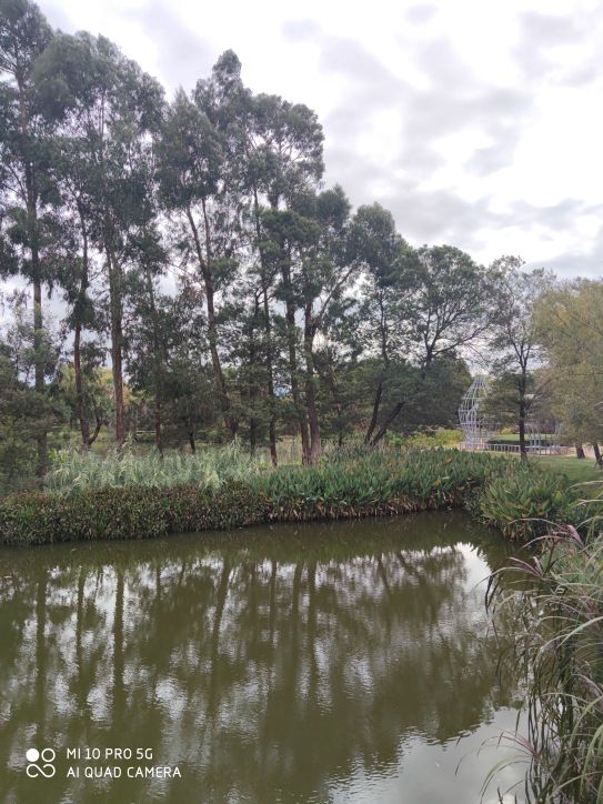 抚仙湖马房村生态湿地公园
