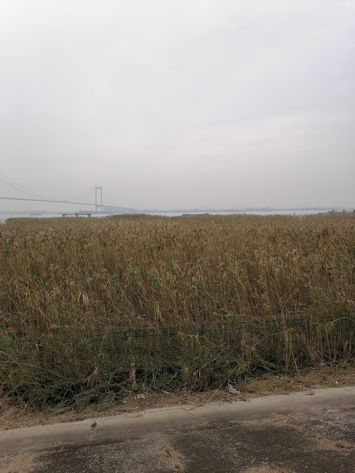 泰州春江湿地公园