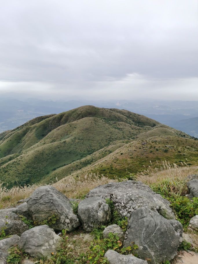 云雾山森林公园