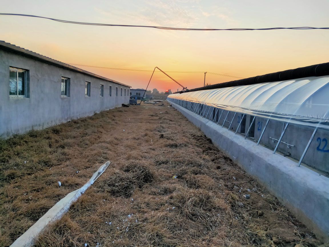 辽宁省葫芦岛市绥中县塔山镇大钟鼓村