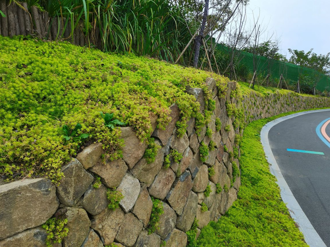 临平山运动休闲公园