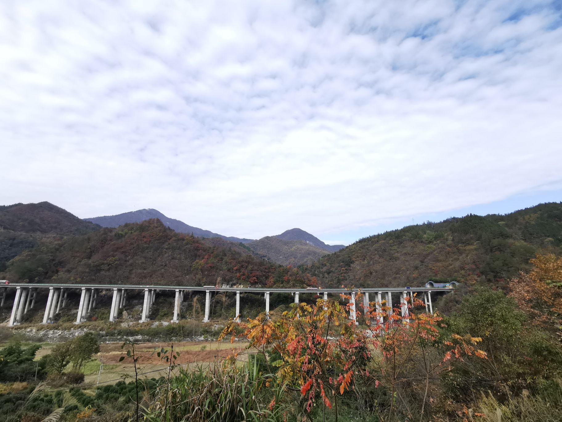 安庆市岳西县