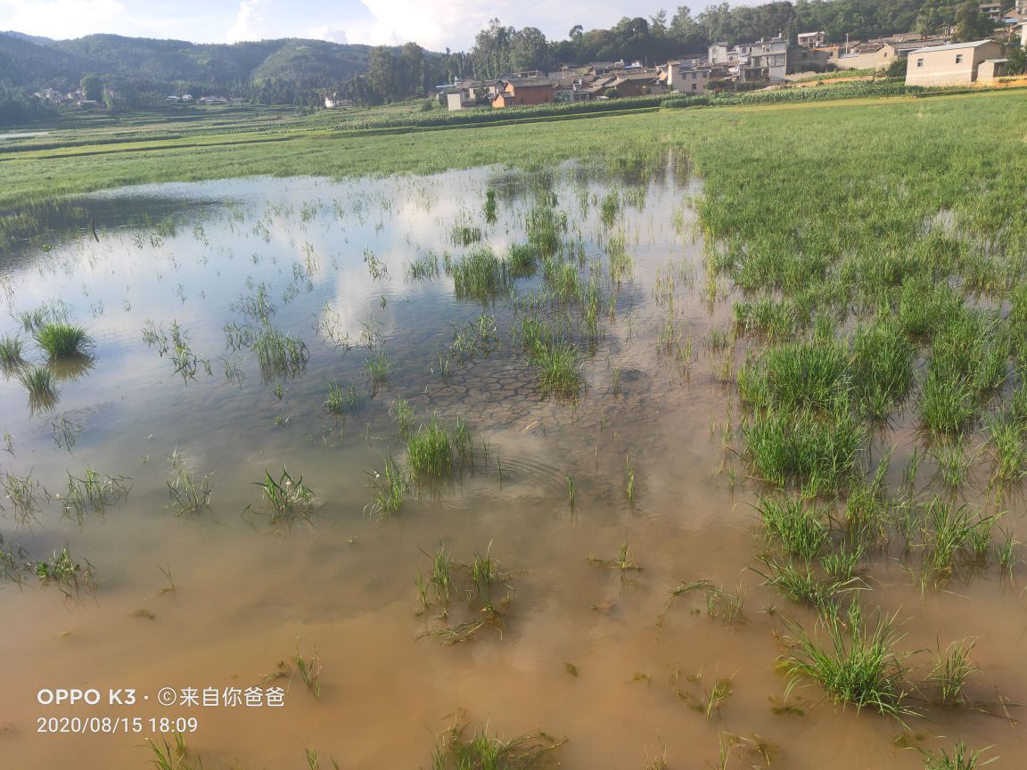 云南省红河哈尼族彝族自治州弥勒市