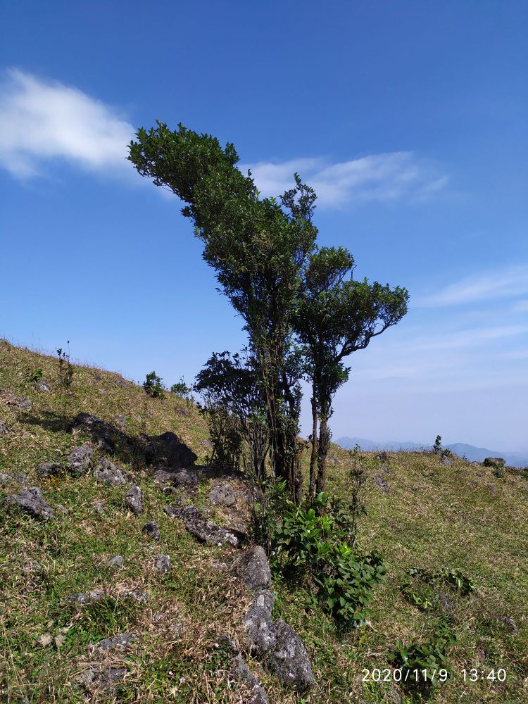 平云山