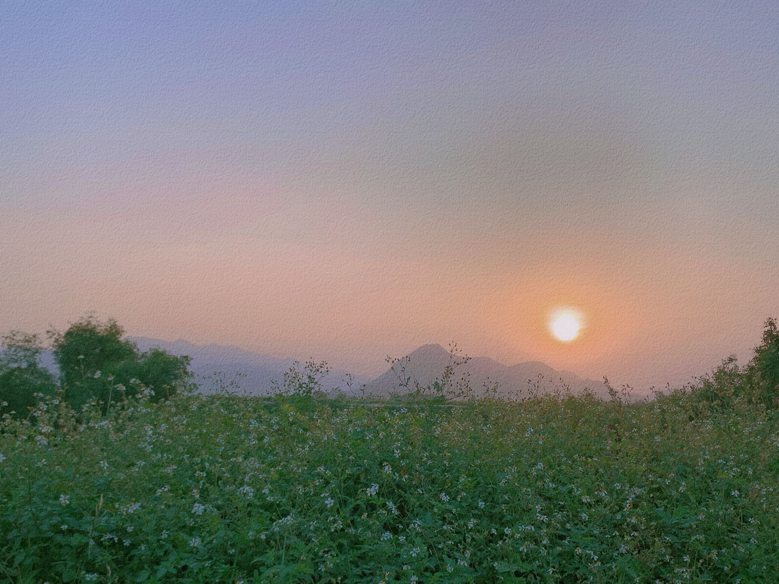 江门市台山市