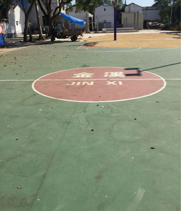 高园村球场场