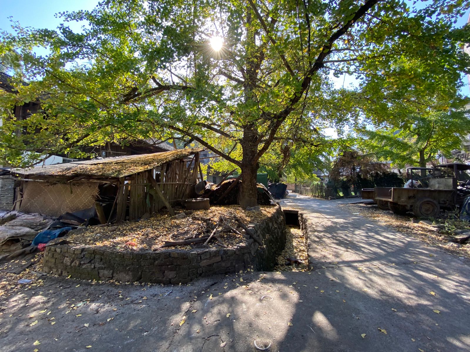 桂林市灵川县