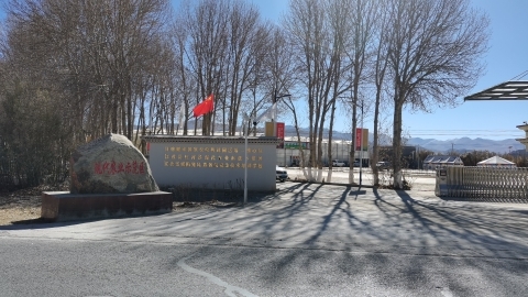 西藏自治区日喀则市江孜县江孜镇东郊村