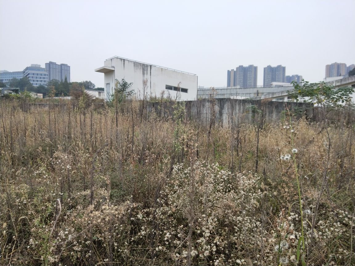 成都市锦江区晨辉东路四川师范大学附属实验学校(中学部)西侧约210米