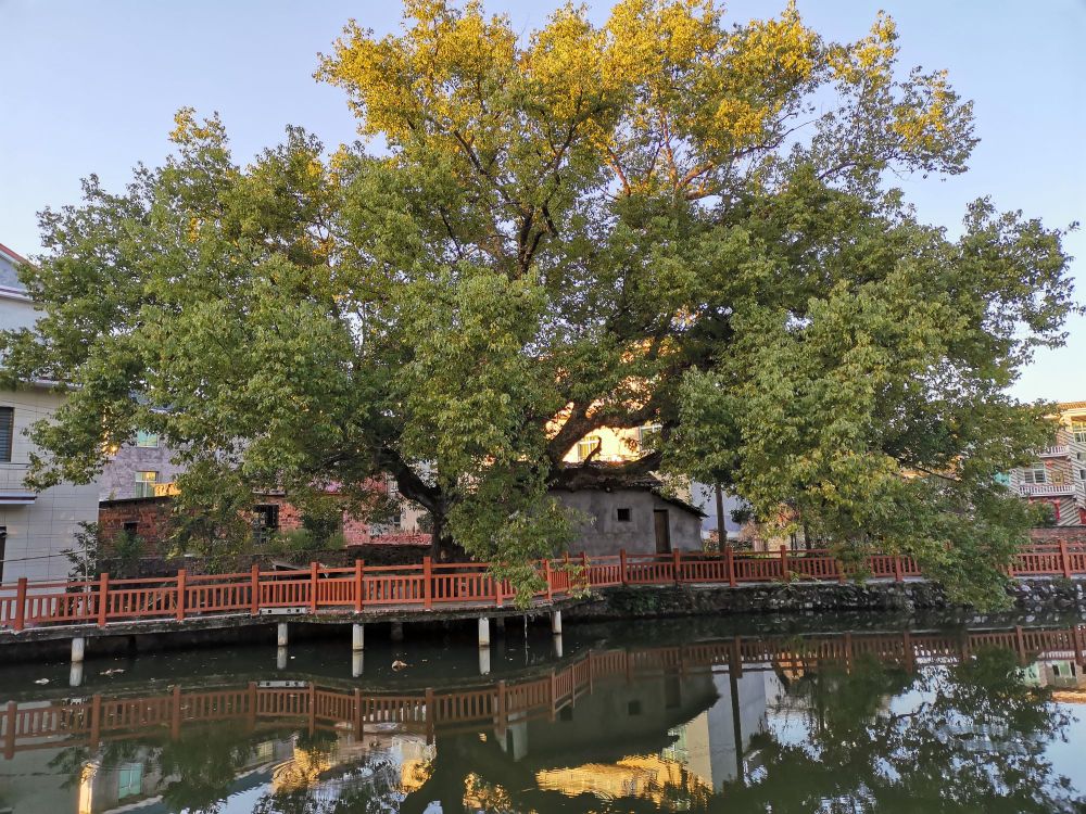 萍乡市莲花县