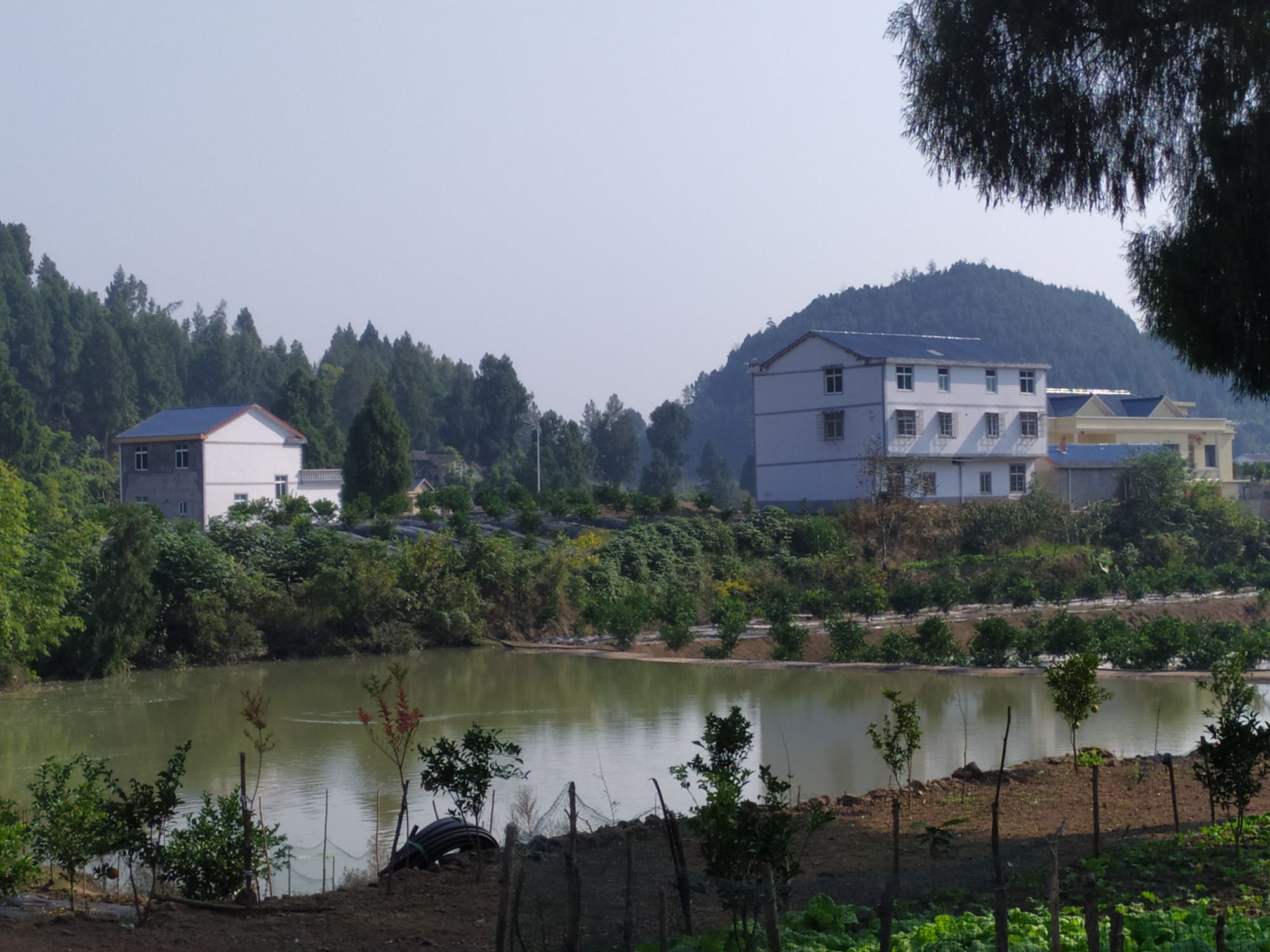 椒家沟