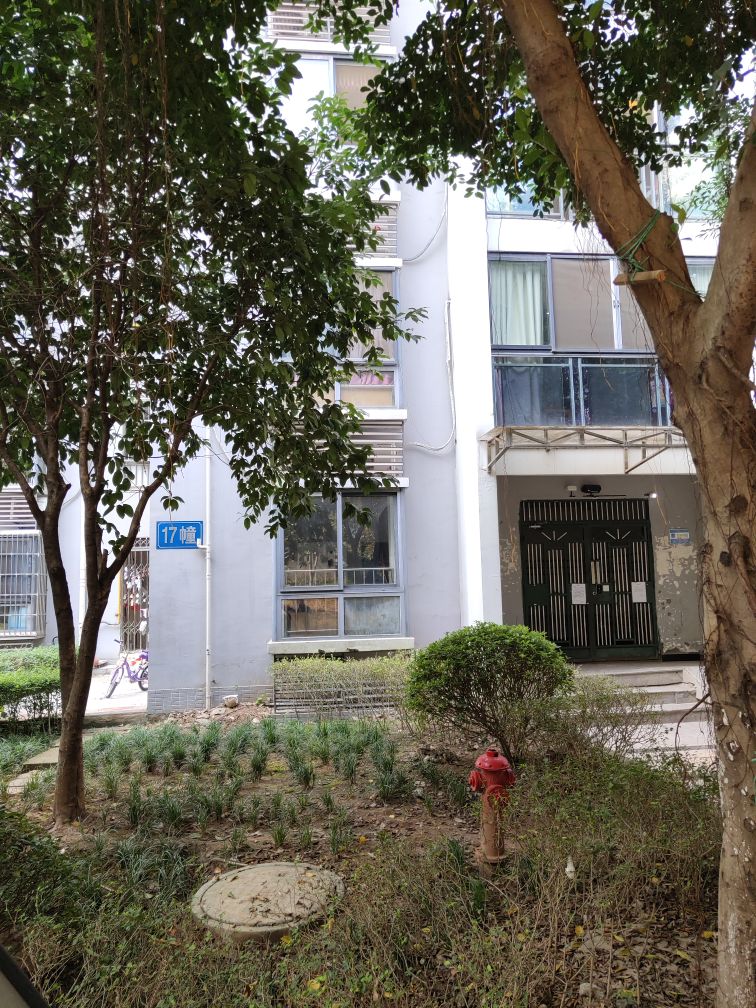 重庆市巴南区龙洲花园-17幢