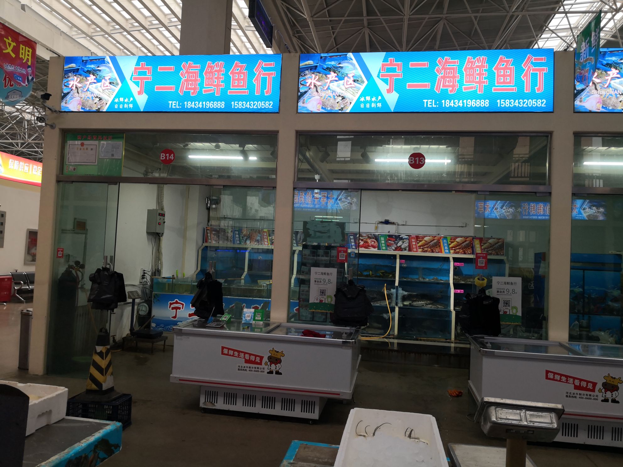 宁二海鲜鱼行