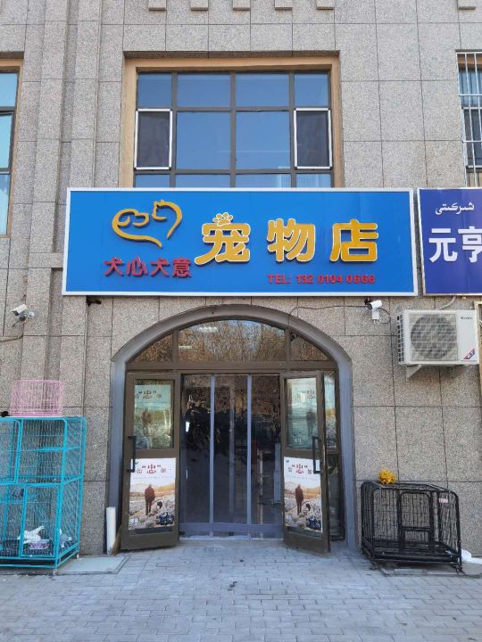 犬心犬意宠物店(东环路店)