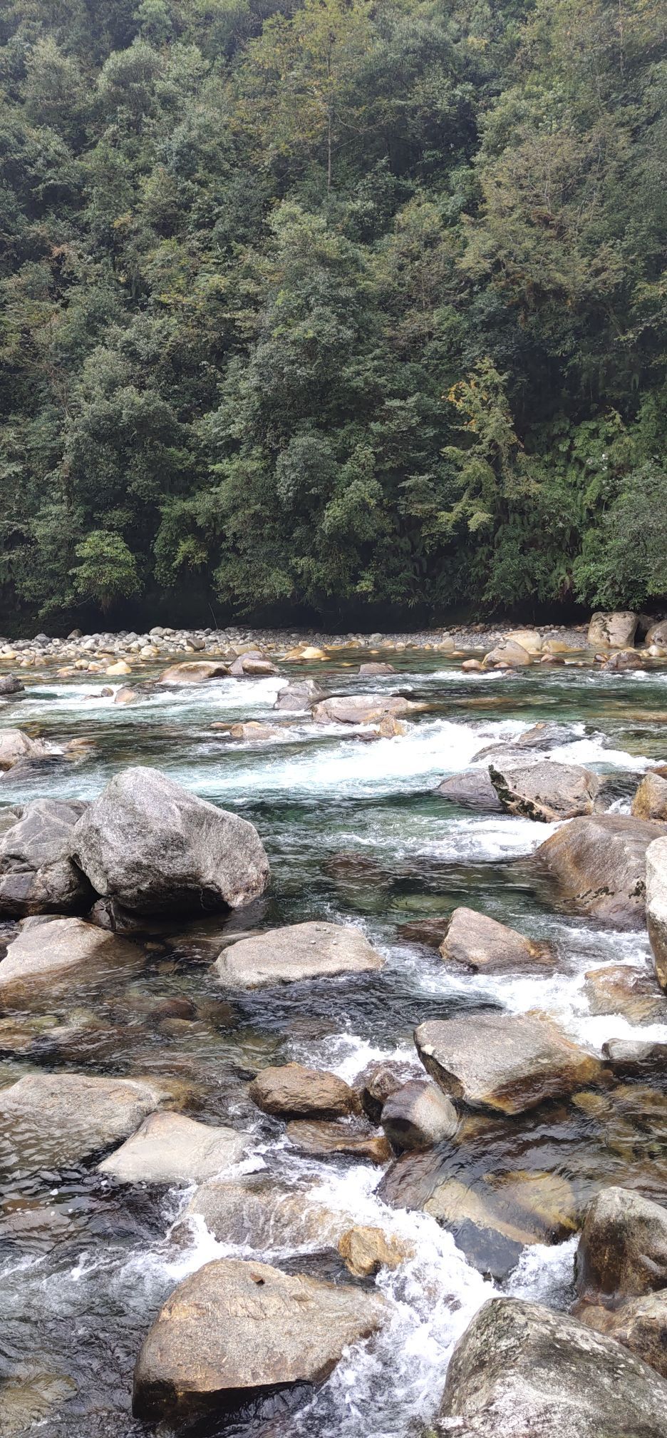 西北部的怒江傈僳族自治州、贡山独龙族怒族自治县境内的独龙河两岸的河谷地带