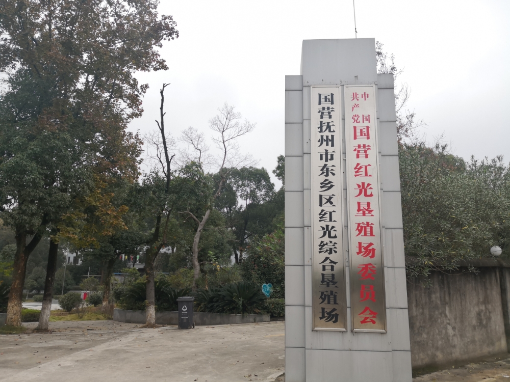 红光垦殖场(王港分场)