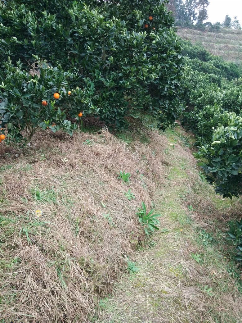 湖南省郴州市永兴县茶窝里村