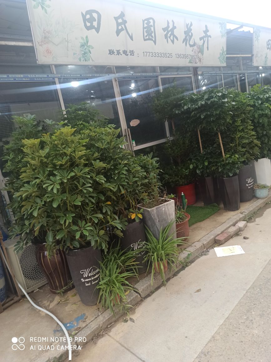 南半球后街花市(南半球商业广场店)