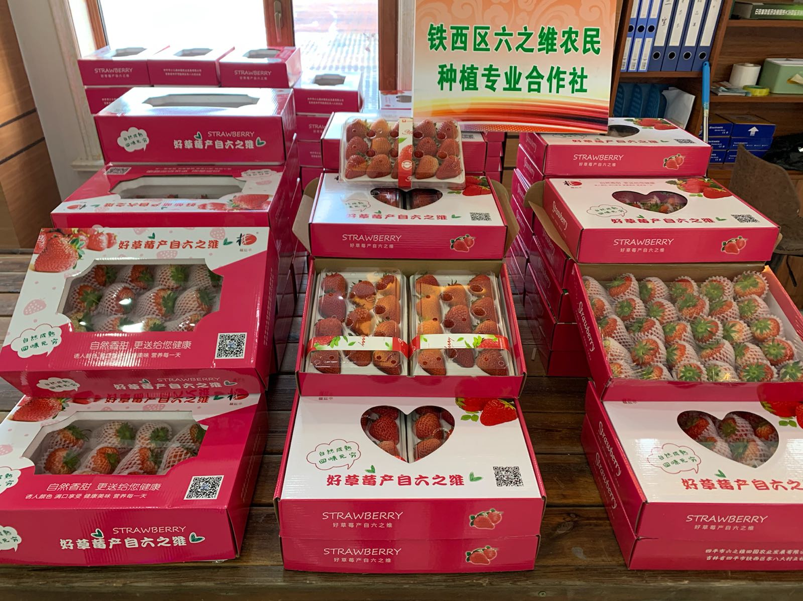 四平市六之维梨树种植基地