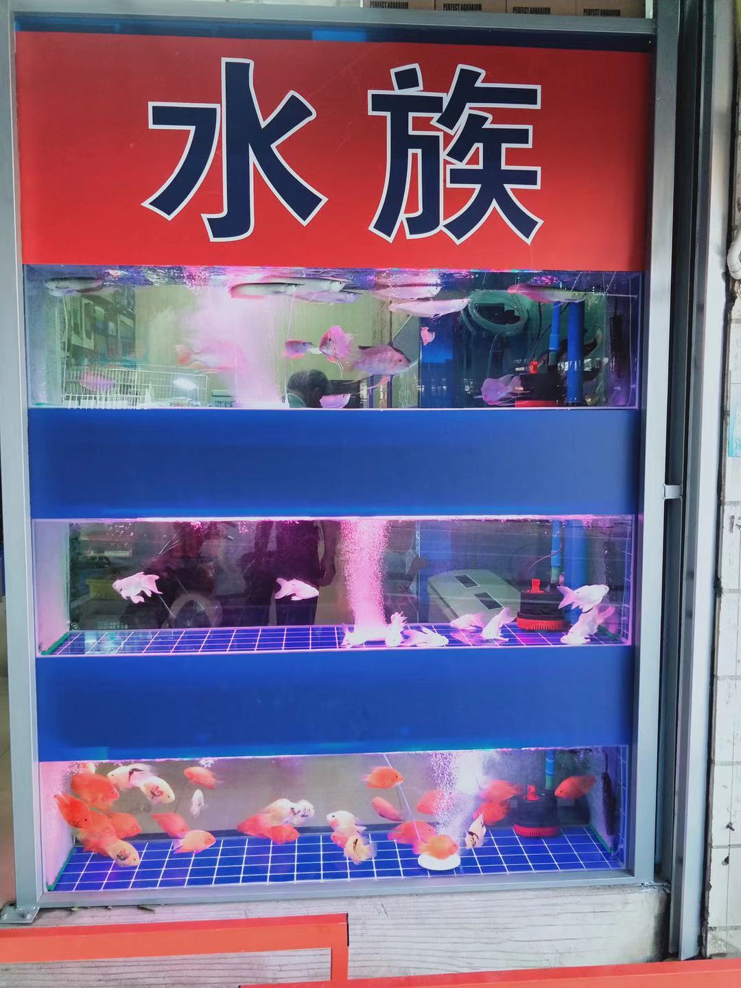 天润花店水族(批发)