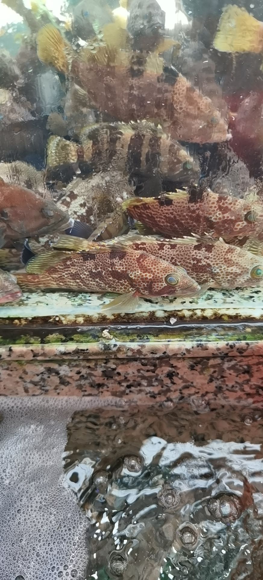 南湾渔村(台山下川王府洲店)