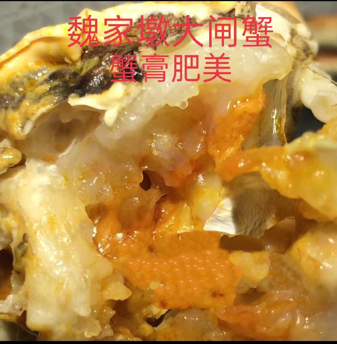 魏家墎大闸蟹