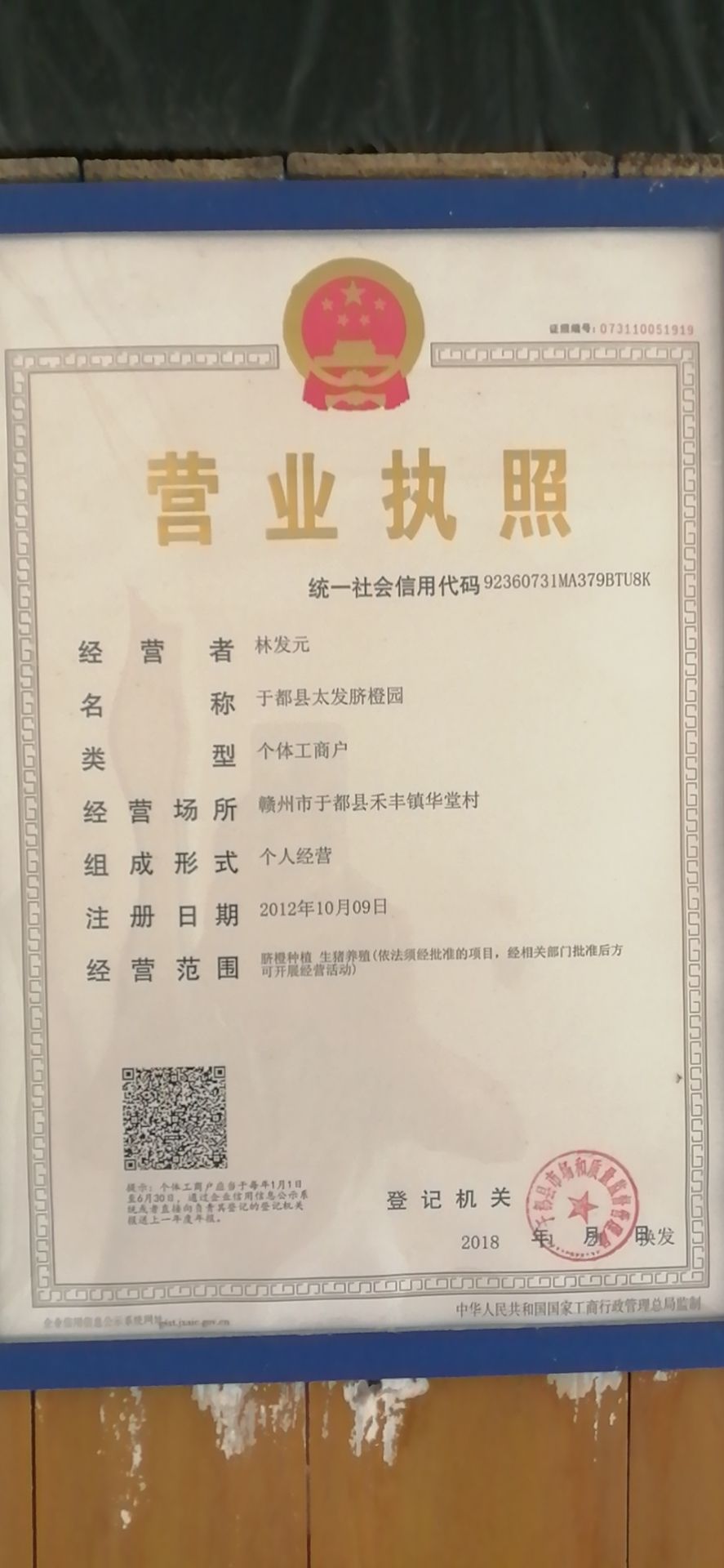 太发赣南脐橙基地