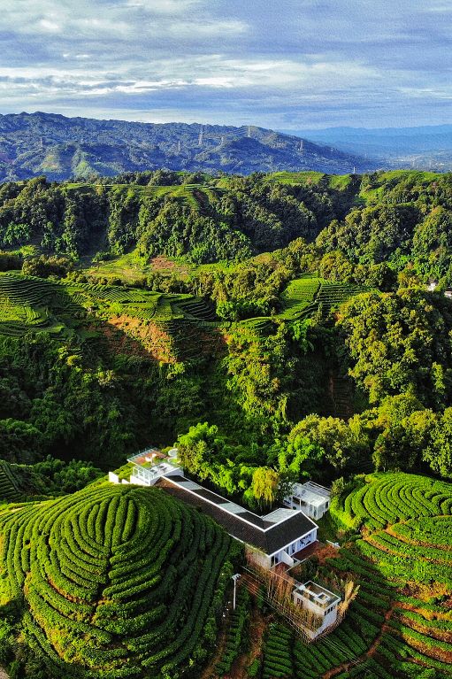 页村茗山居