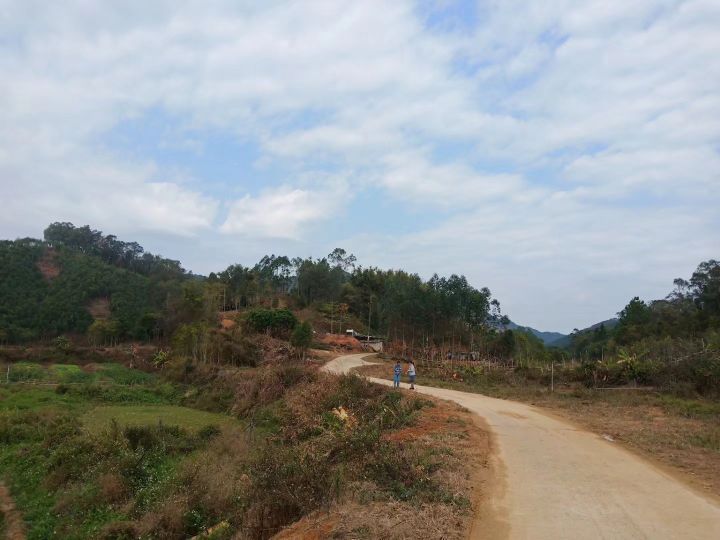 广东省茂名市化州市