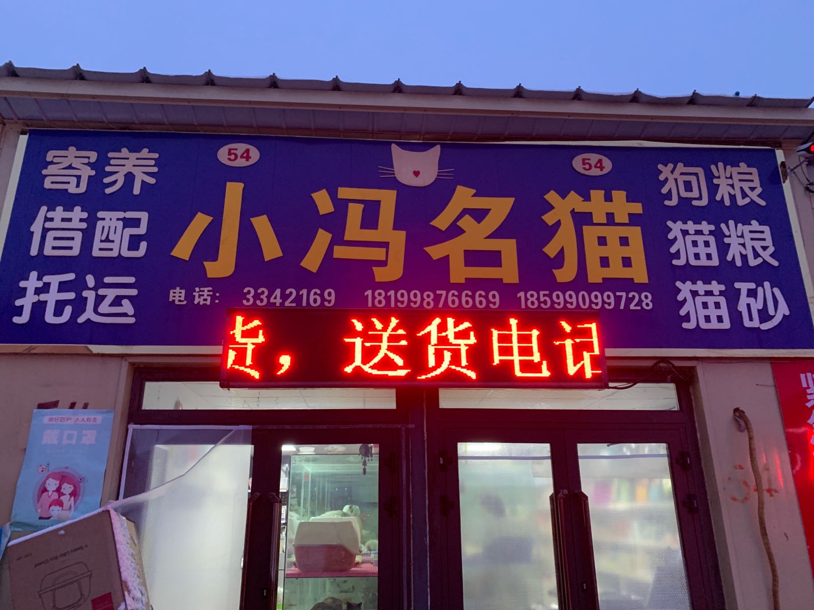 小冯名猫