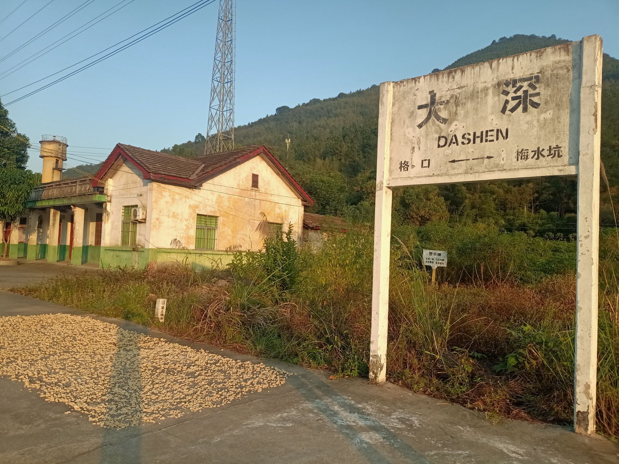 福建省龙岩市漳平市芦芝乡芦芝乡大深村(340县道精博保文电器南侧)