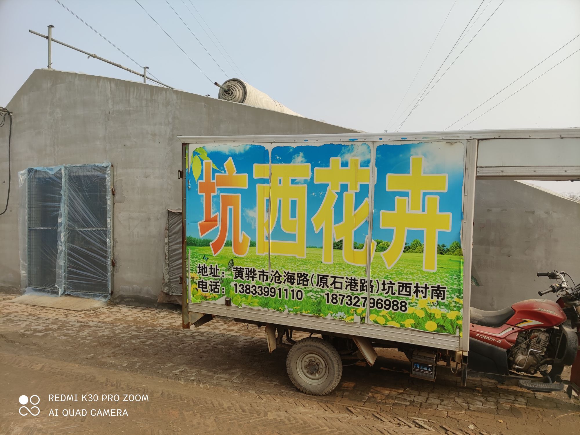 坑西花卉总店