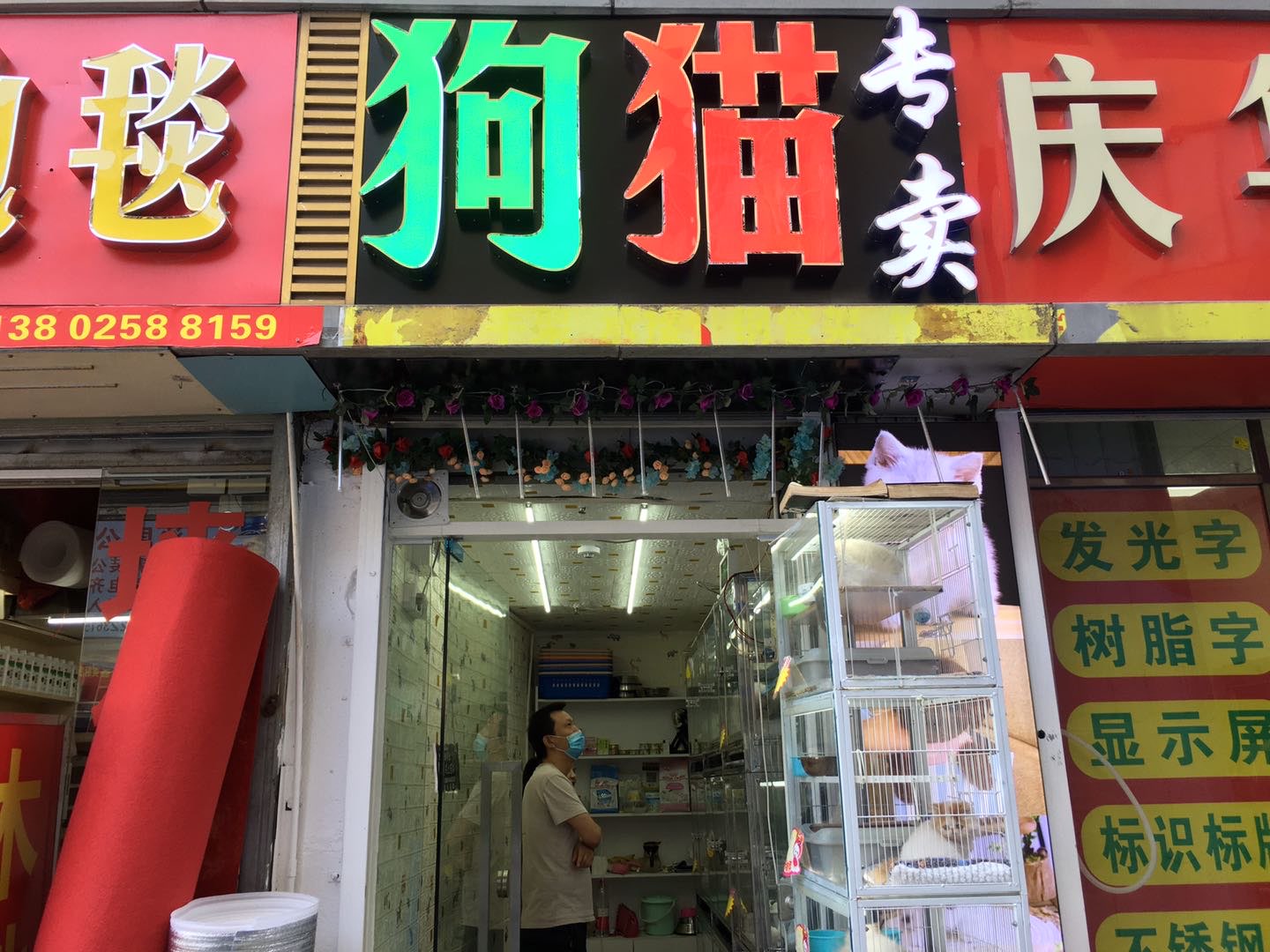 狗猫专卖宠物店