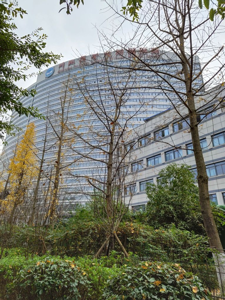四川省南充市嘉陵第一中学-南门