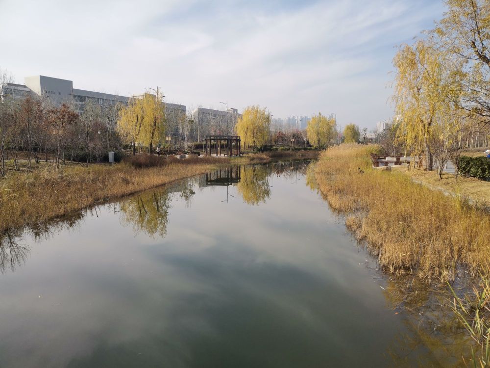 河南大学-22号院