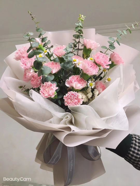 晓梅花卉