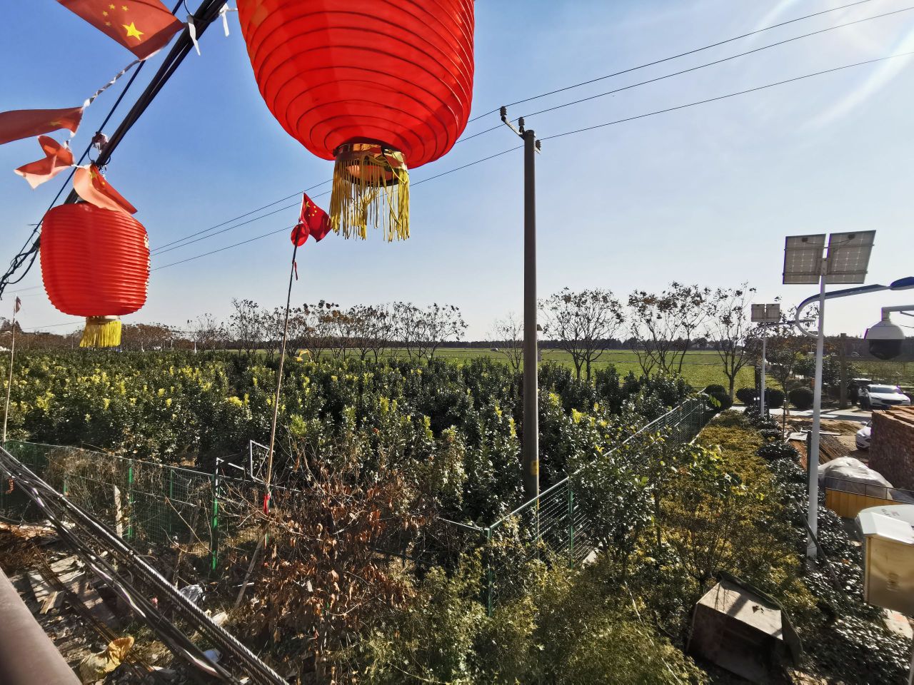 金泽镇蔡浜村