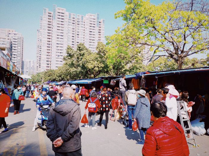 中山花鸟鱼虫市场地址汇总，除了高沙、沙岗墟还有这些