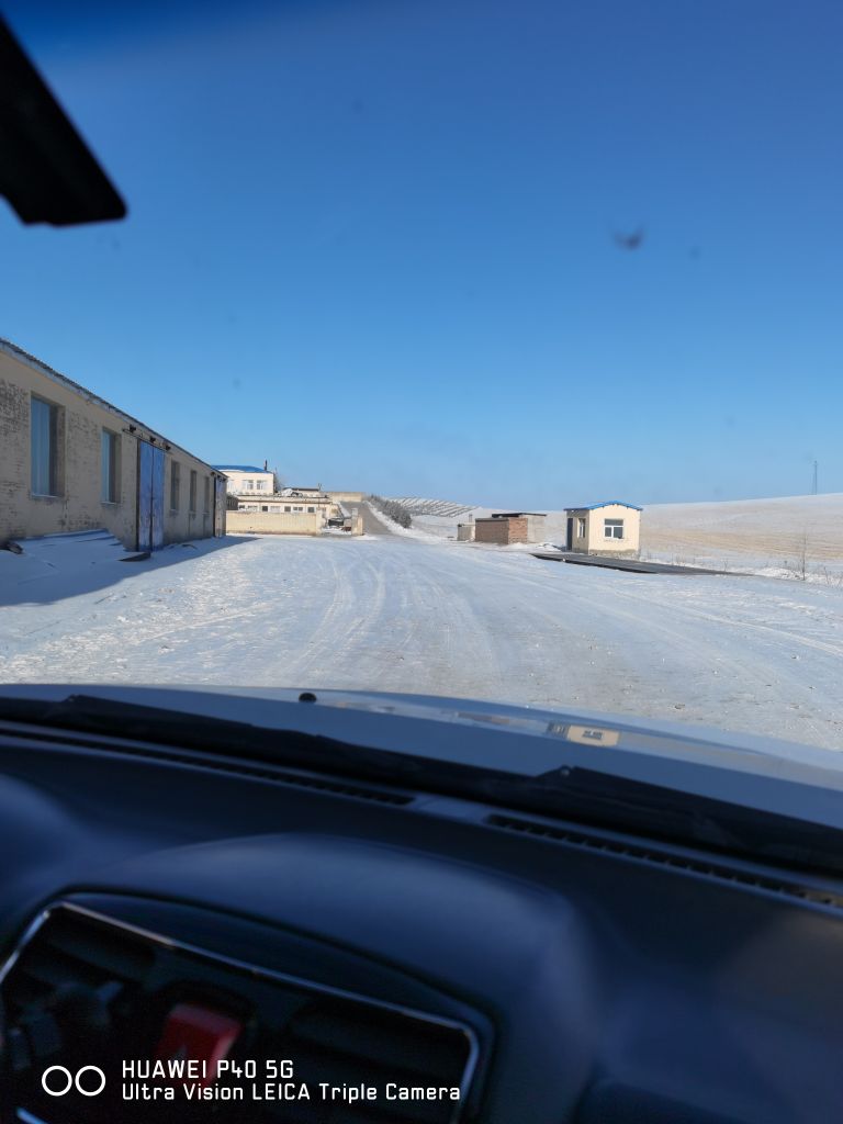 锡林郭勒太仆寺旗沙源种业