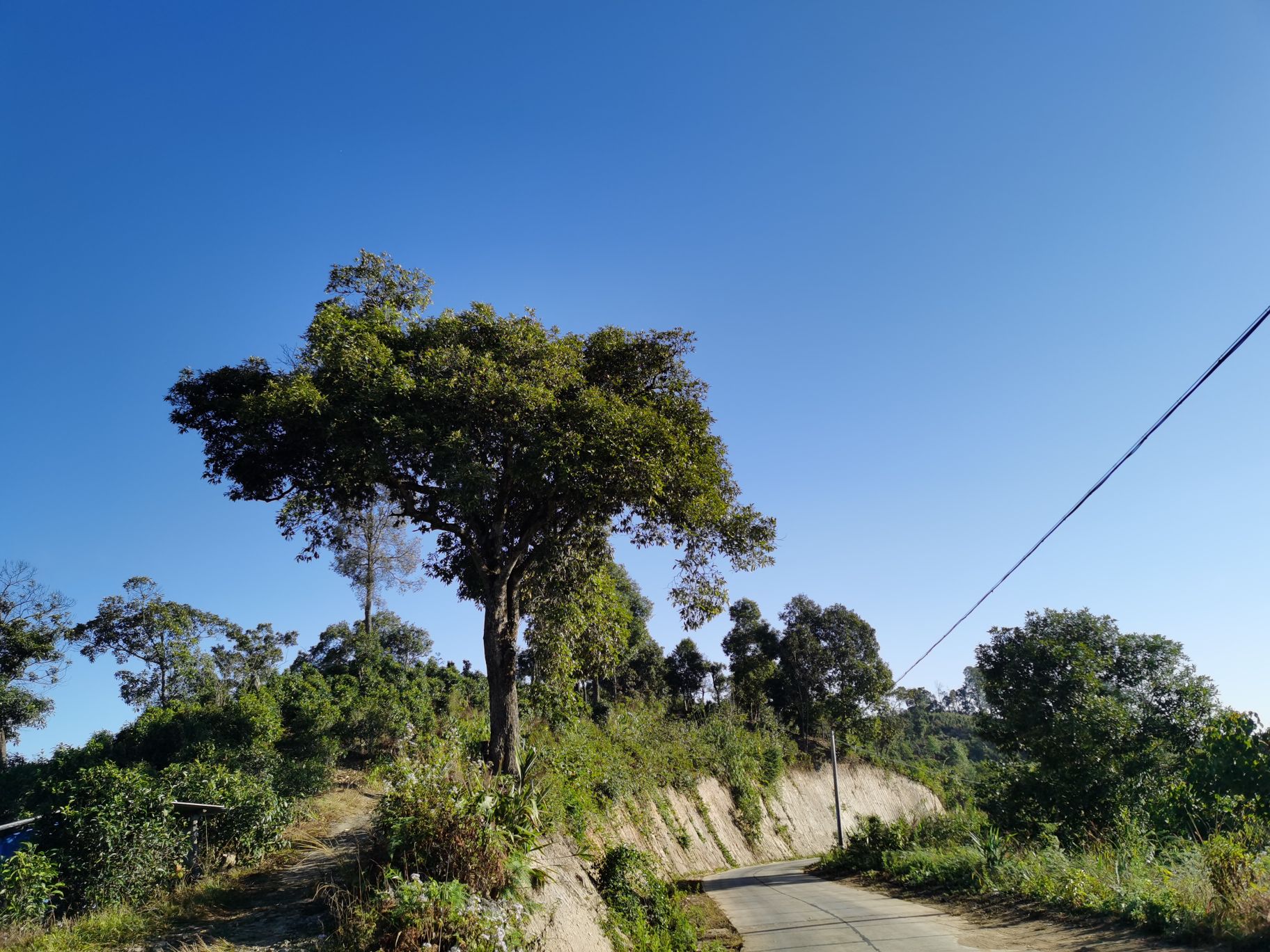 幽潭山风景台