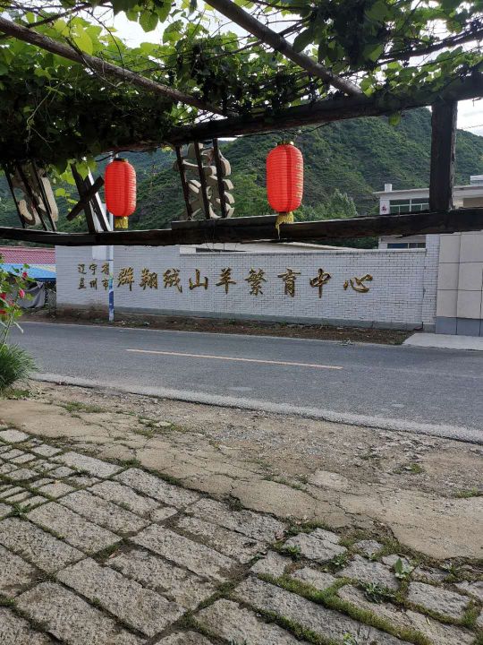 营口市盖州市榜式堡镇道马寺村10号15号