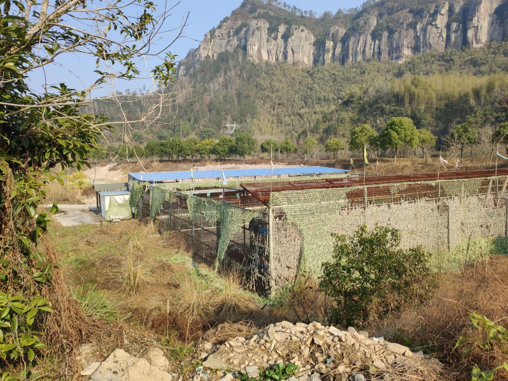 后岸乡居旅游景区