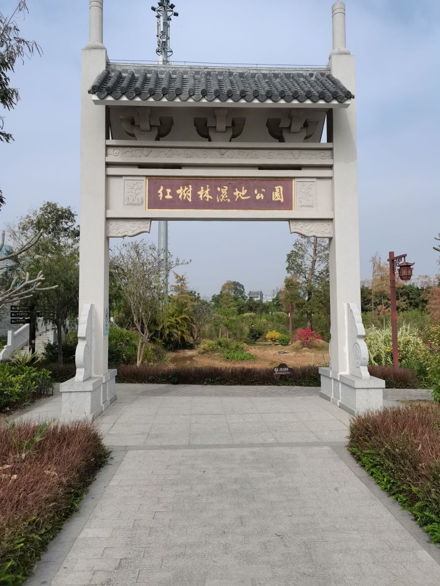 惠州市惠阳区大亚湾文化体育中心附近红树林公园内
