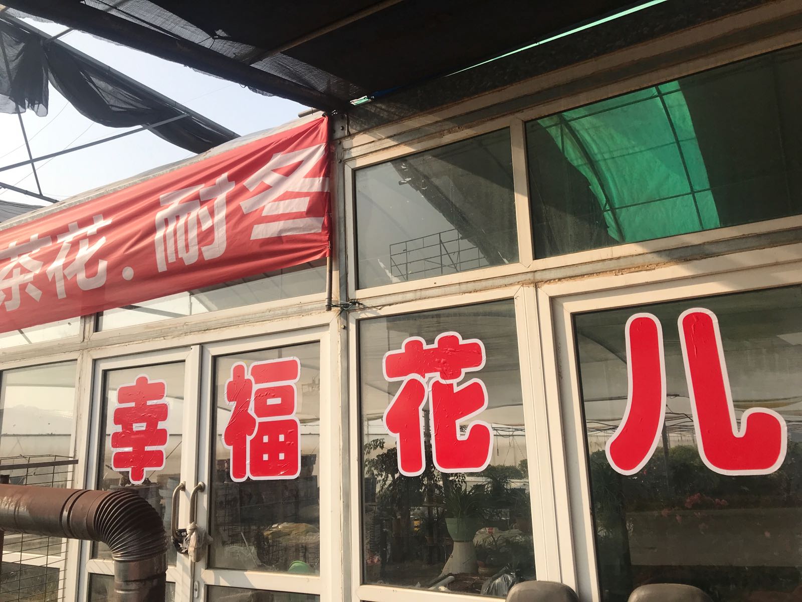 山东省烟台市芝罘区幸福花儿花卉店