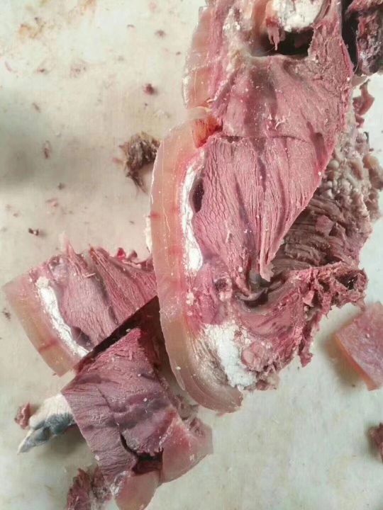 中鲁伊穆顺李刚全牛杂批发
